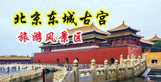 男人的鸡巴插进女人的逼里的网站中国北京-东城古宫旅游风景区