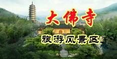 大鸡吧艹逼免费视频中国浙江-新昌大佛寺旅游风景区